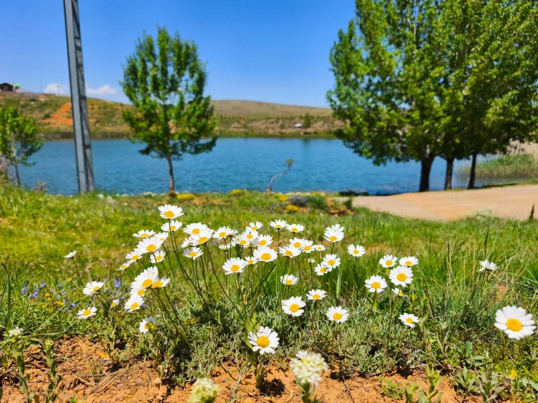 Konya’da gizem ve huzurun buluştuğu konum 10